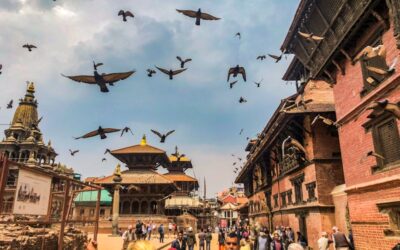 Affiliate Marketing for Beginners: Understanding Commission Structures